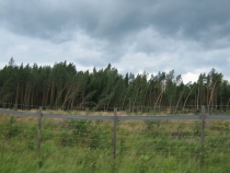 IMG_2278_новый размер