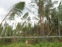 IMG_2280_новый размер