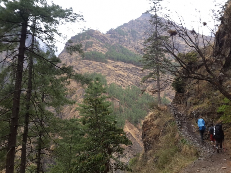 Манаслу трек с заходом в долину Цум (2014), или не оконченное дело.