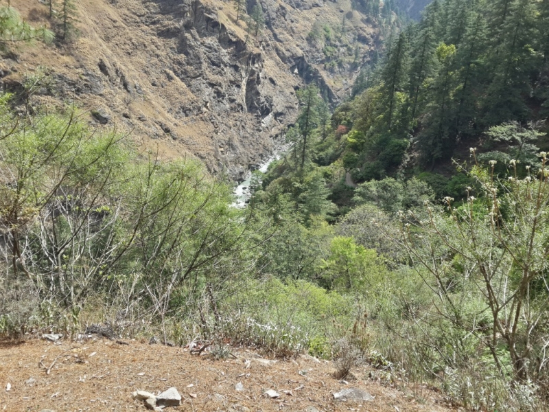 Манаслу трек с заходом в долину Цум (2014), или не оконченное дело.