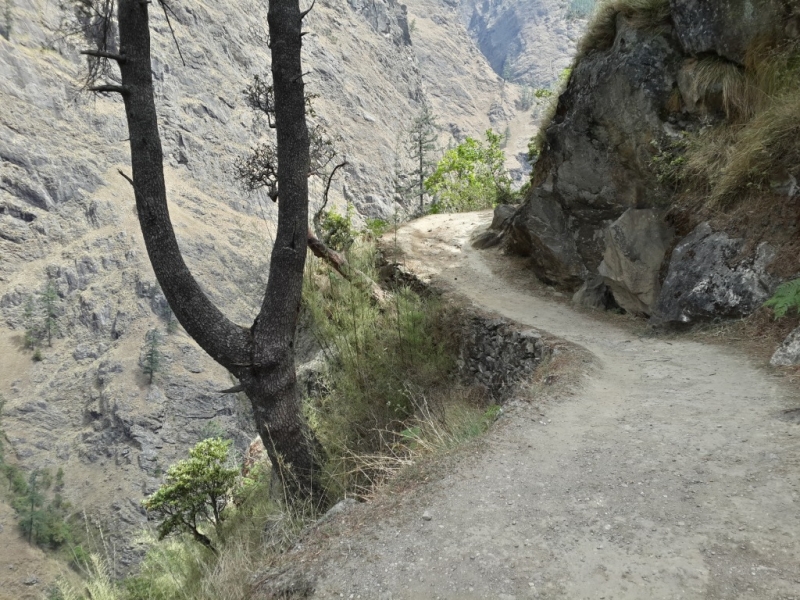 Манаслу трек с заходом в долину Цум (2014), или не оконченное дело.