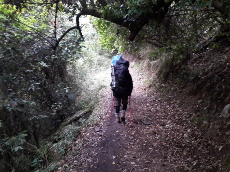 Манаслу трек с заходом в долину Цум (2014), или не оконченное дело.