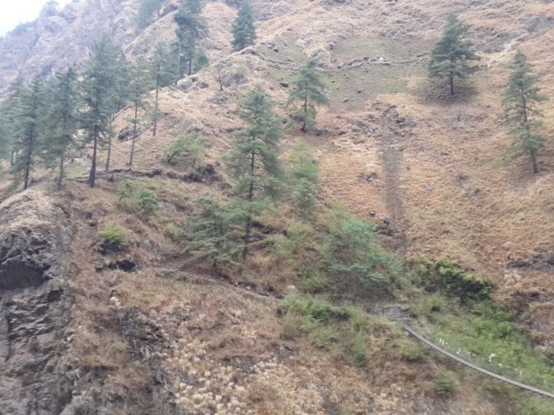 Манаслу трек с заходом в долину Цум (2014), или не оконченное дело.