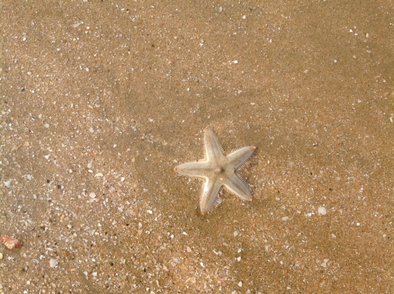 Вьетнам. Неоднозначное мнение.