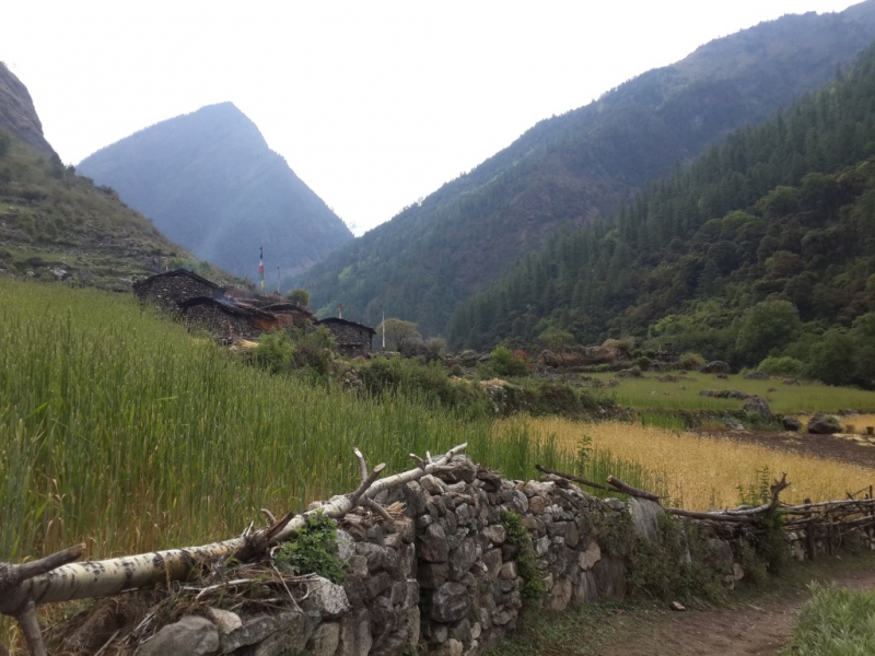 Манаслу трек с заходом в долину Цум (2014), или не оконченное дело.