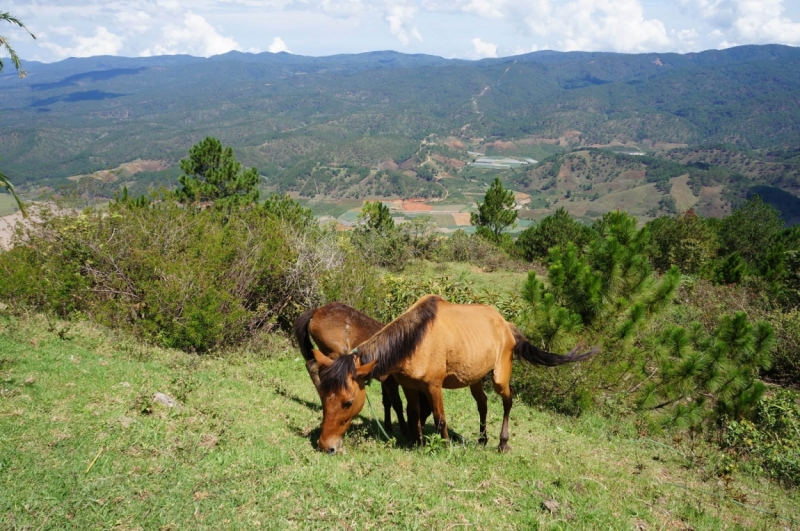 Вьетнам - Провинция