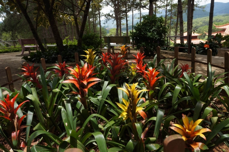 Вьетнам - Провинция