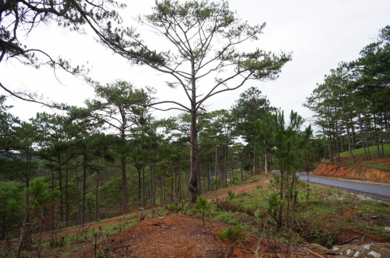 Вьетнам - Провинция