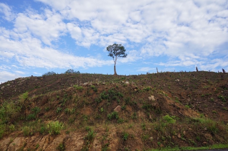 Вьетнам - Провинция