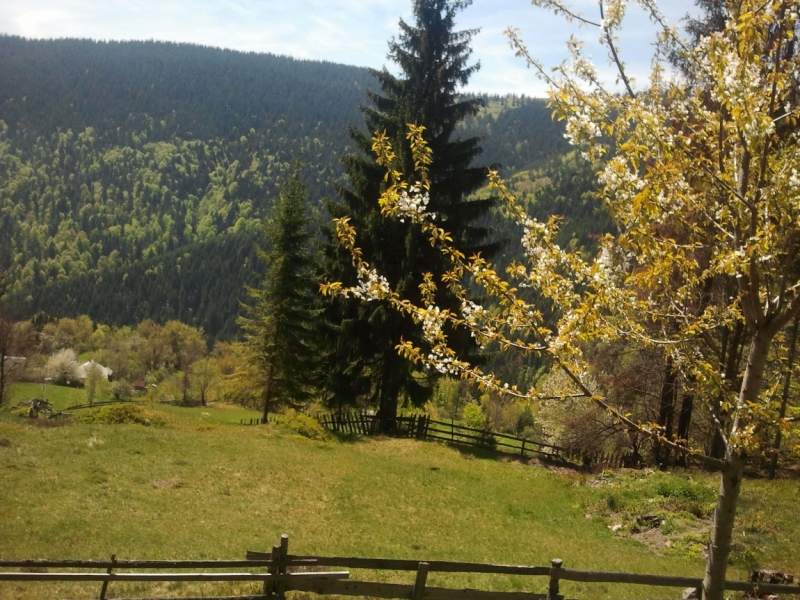 Национальный парк Apuseni -Западные горы Румынии