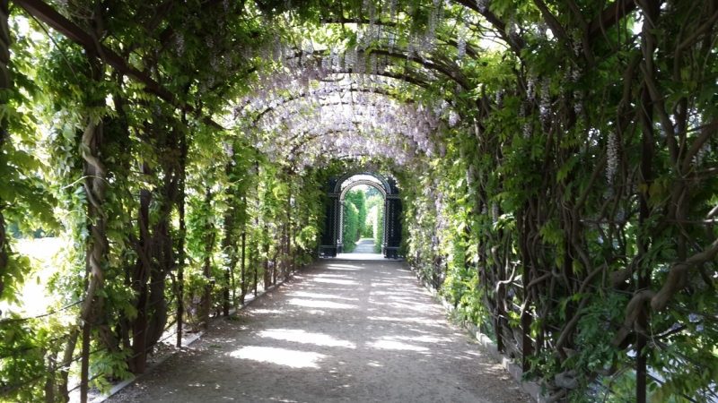 Вена за 2 дня