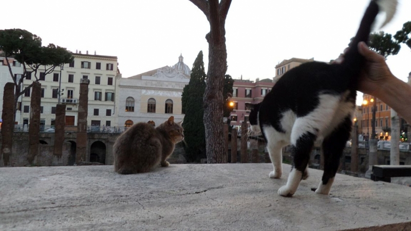 Апрель 2014:Итальянские каникулы для двух сеньор - совсем и не очень. :)