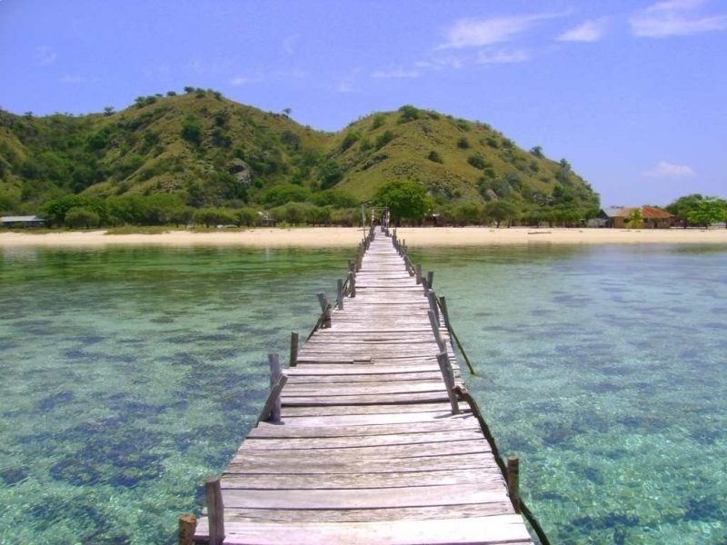Indo_2010 252.jpg