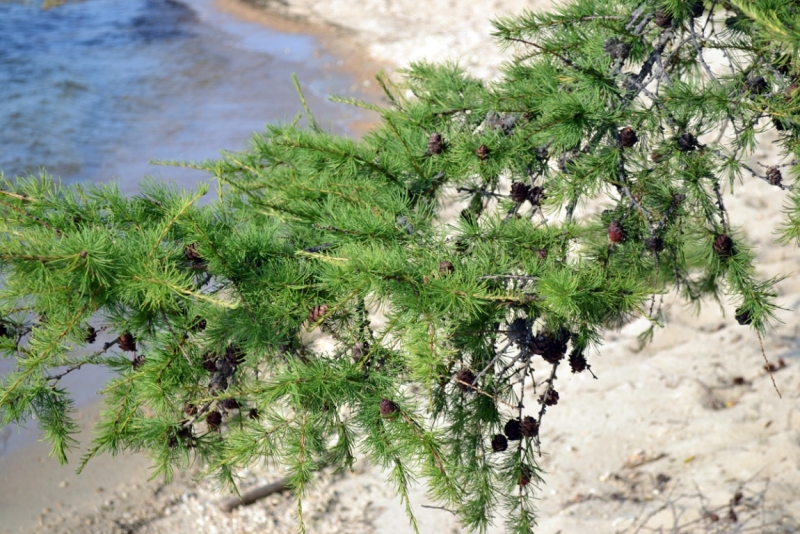 Великое море, священный Байкал (путешествие надувастиков)