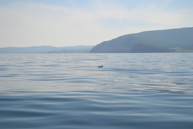 Великое море, священный Байкал (путешествие надувастиков)