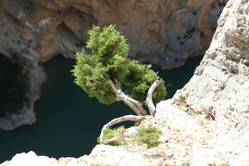 Франция - Италия октябрь 2012 (Прованс - Лигурия)