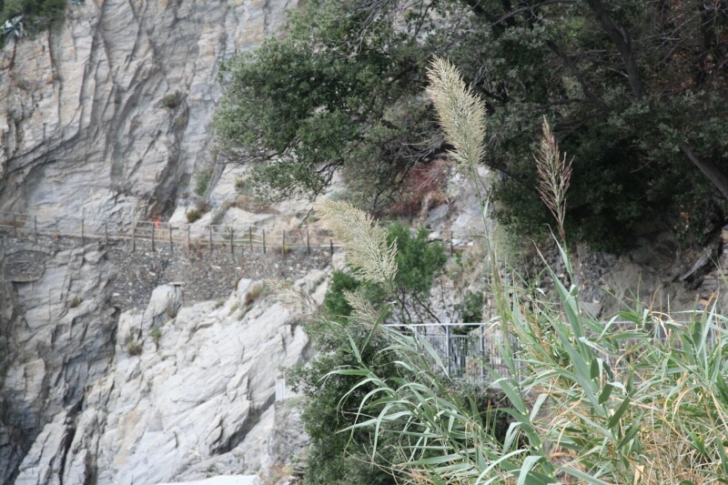 Франция - Италия октябрь 2012 (Прованс - Лигурия)