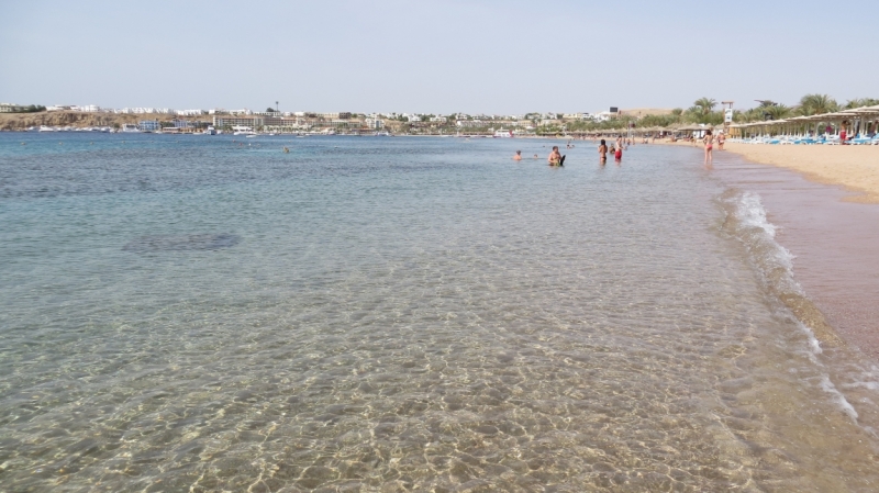 Шарм-Эль-Шейх отели отзывы и рекомендации