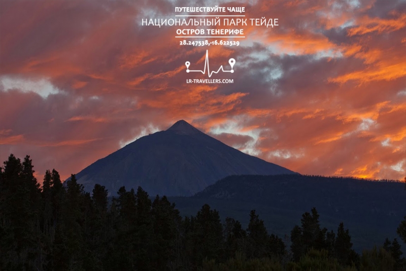 Галопом по Европам 5