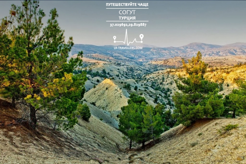 Галопом по Европам 5