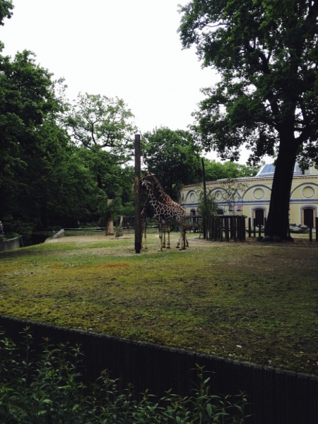 Волгоград-Брест-Берлин-Дрезден-Прага-Градец Кралове-Волгоград