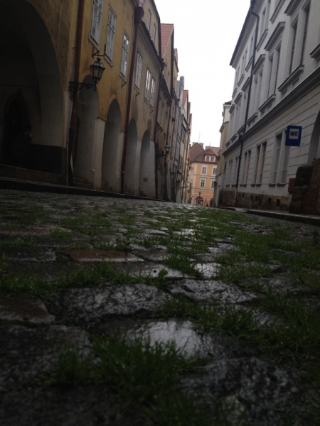 Волгоград-Брест-Берлин-Дрезден-Прага-Градец Кралове-Волгоград