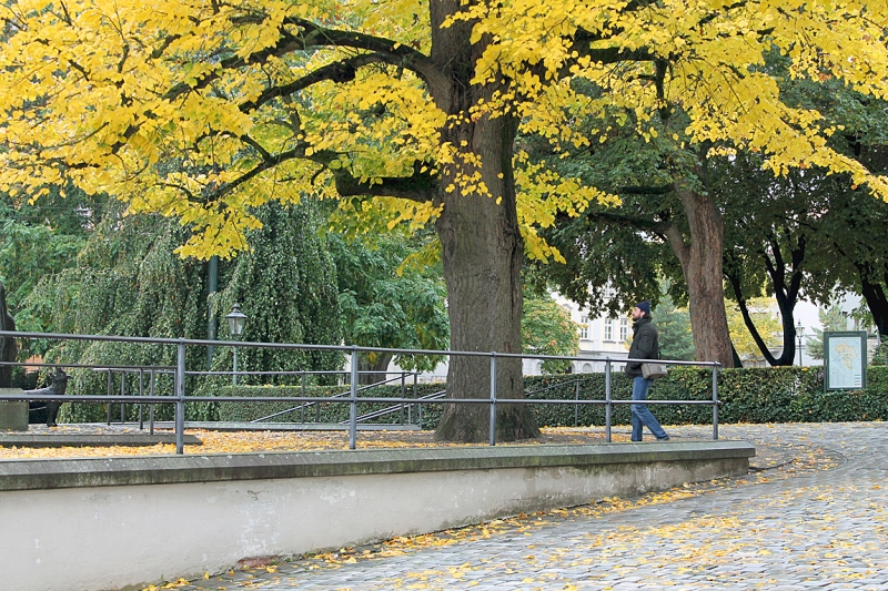 Германия, Чехия, Австрия. Октябрь 2013