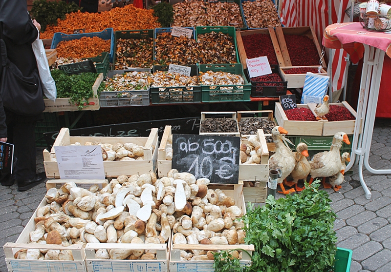 Германия, Чехия, Австрия. Октябрь 2013