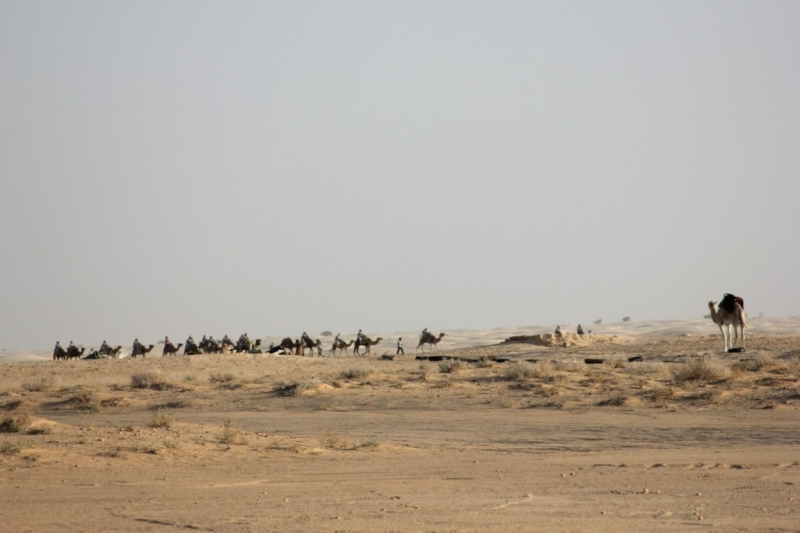 Северо-Африканский климат.Тунис,Сусс/Порт Эль Кантауи и наша Сахара 2013...