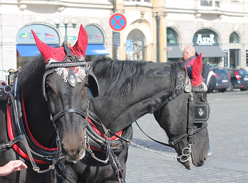 Германия, Чехия, Австрия. Октябрь 2013