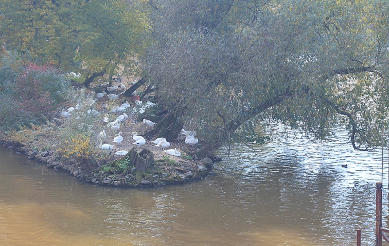 Германия, Чехия, Австрия. Октябрь 2013
