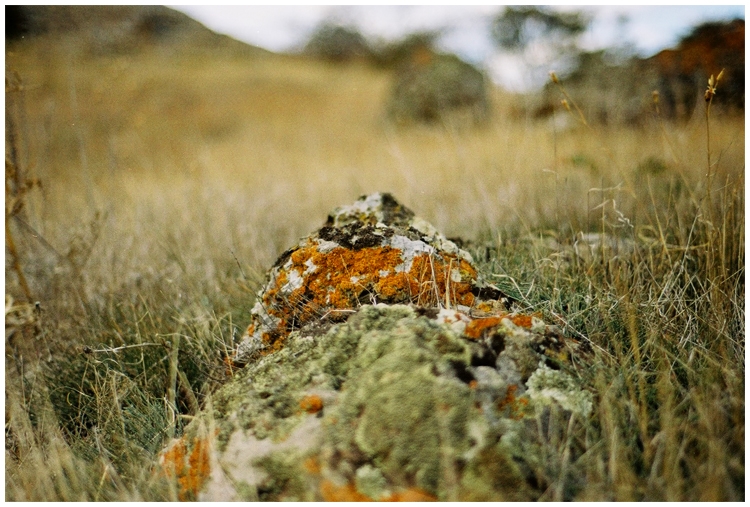 Коктебель и окрестности. Октябрь