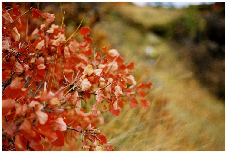 Коктебель и окрестности. Октябрь
