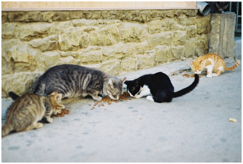 Коктебель и окрестности. Октябрь