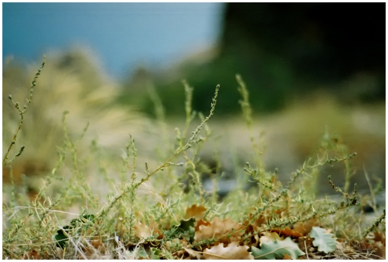 Коктебель и окрестности. Октябрь