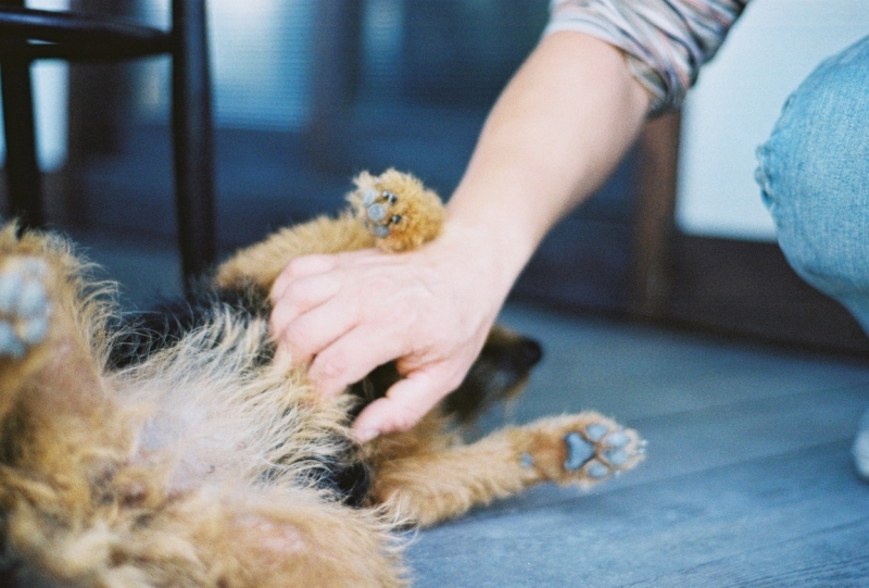 Коктебель и окрестности. Октябрь