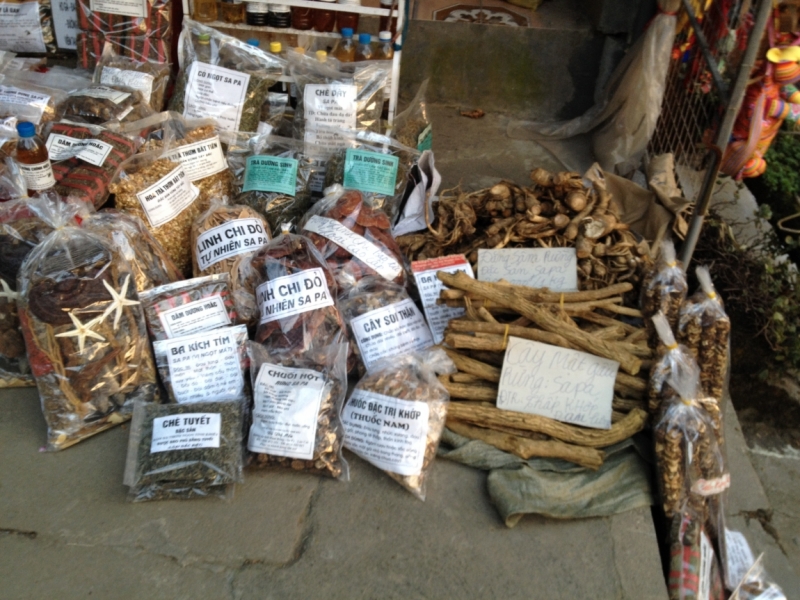 Вьетнам. С севера на юг. Ханой - Сапа - Кат Ба - Ханой - Сайгон - Фу Куок - Ханой