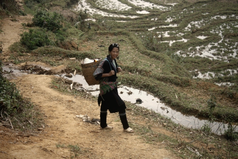 Вьетнам. С севера на юг. Ханой - Сапа - Кат Ба - Ханой - Сайгон - Фу Куок - Ханой