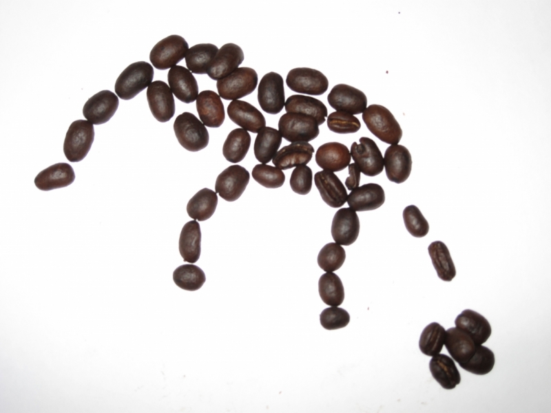 Кофе по-вьетнамски