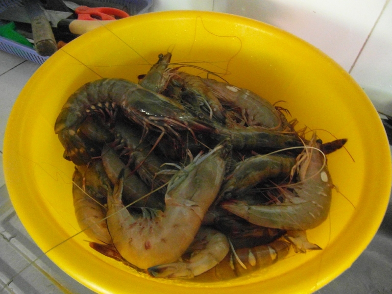 Экскурсии Ня чанга фотоотчет