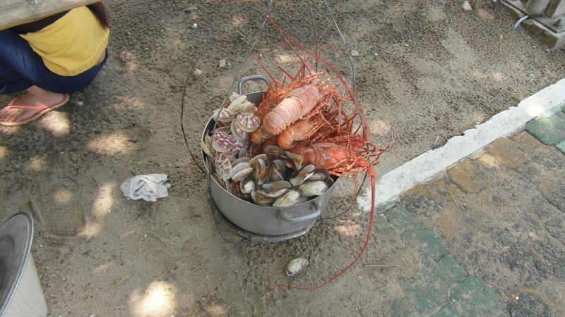 Экскурсии Ня чанга фотоотчет