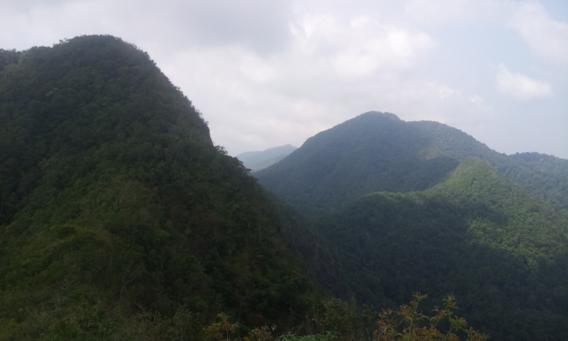 Thai jungle trekking     Треккинг в джунглях Тайланда. Весна 2014