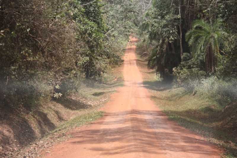 «Не ходите дети в Африку гулять!» Часть 2. Уганда