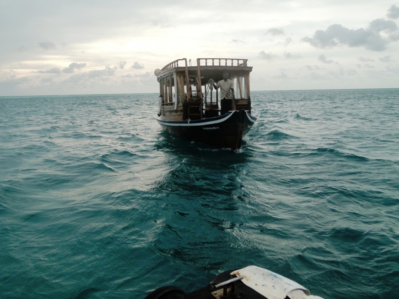 Бочка меда в ложке дегтя, или три дня в Vilamendhoo