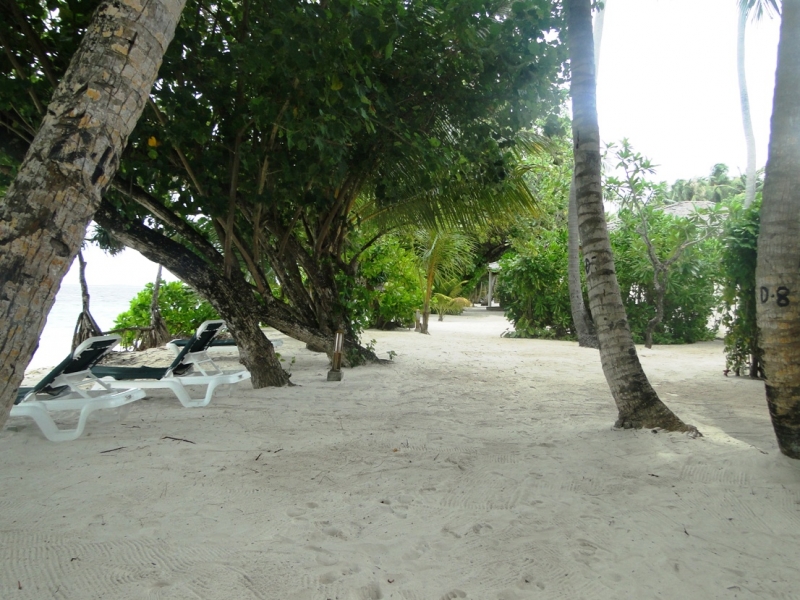 Бочка меда в ложке дегтя, или три дня в Vilamendhoo