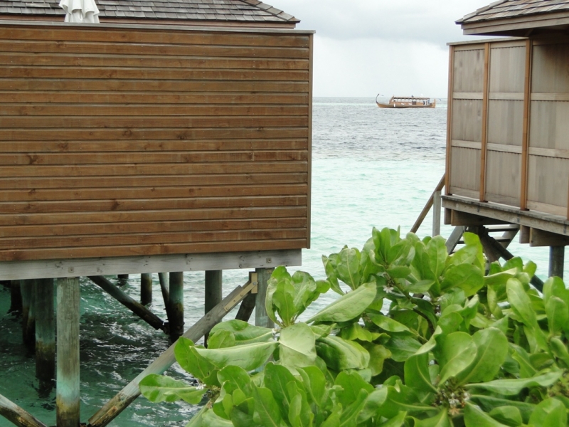 Бочка меда в ложке дегтя, или три дня в Vilamendhoo