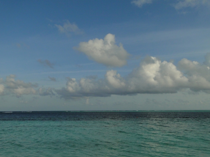 Бочка меда в ложке дегтя, или три дня в Vilamendhoo