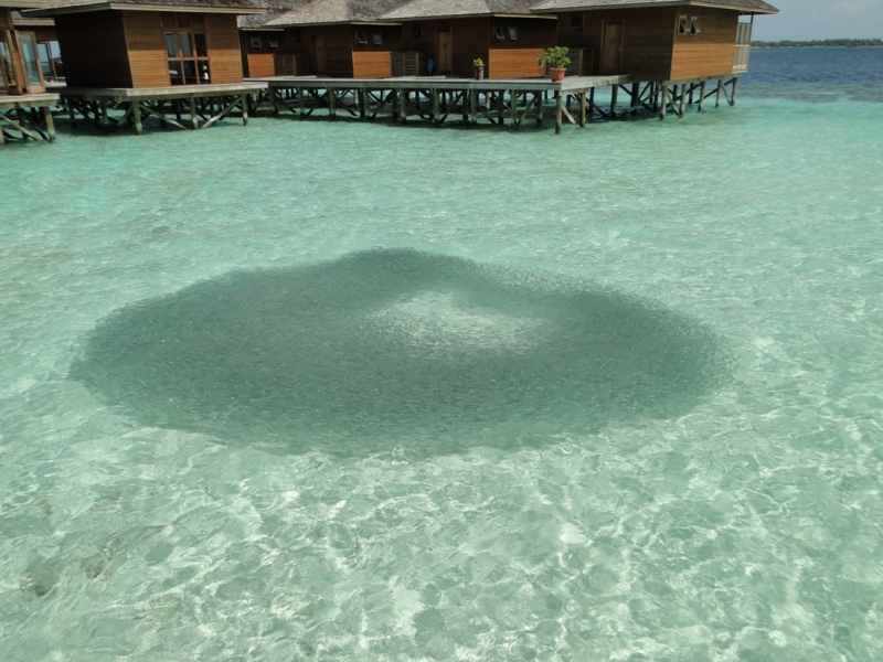 Бочка меда в ложке дегтя, или три дня в Vilamendhoo