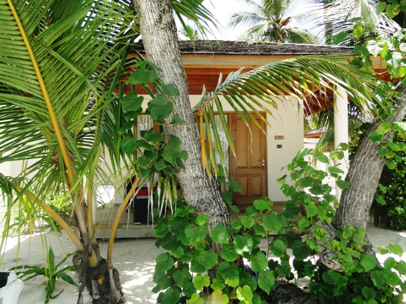 Бочка меда в ложке дегтя, или три дня в Vilamendhoo