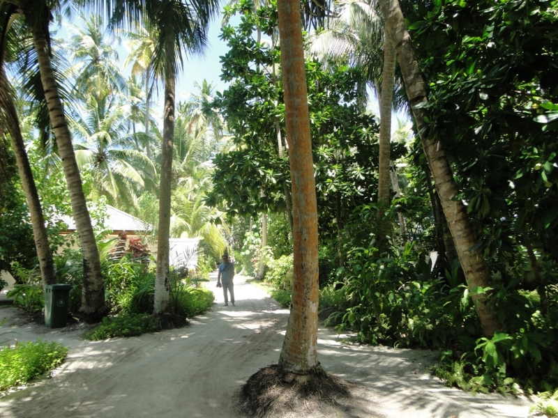 Бочка меда в ложке дегтя, или три дня в Vilamendhoo